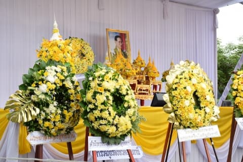 ภาพประกอบข่าว