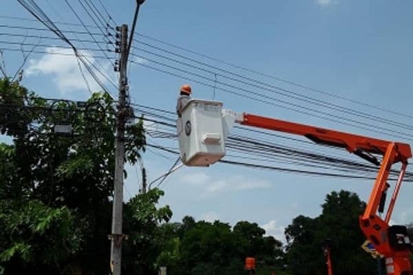 ภาพประกอบข่าว ลำดับที่ 4 จาก ตรวจสอบสายไฟฟ้า และกำจัดรังนกที่ทำรังบนเสาไฟฟ้า