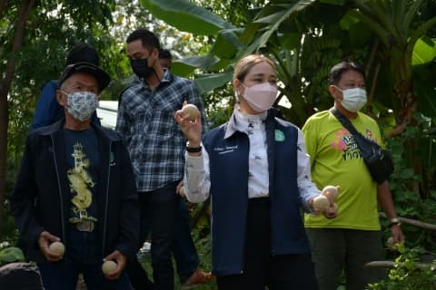 ภาพประกอบข่าว