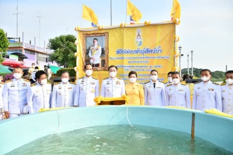 ภาพประกอบข่าว