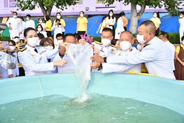 ภาพประกอบข่าว ลำดับที่ 2 จาก พิธีปล่อยพันธุ์สัตว์น้ำ