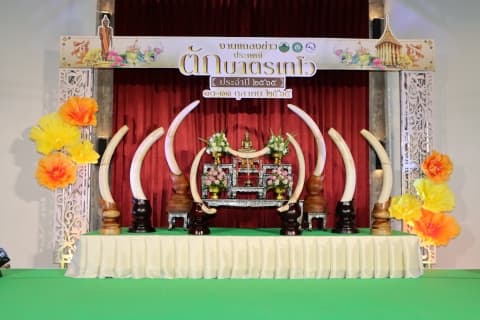 ภาพประกอบข่าว